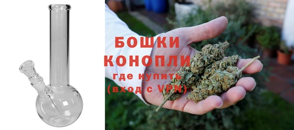 сатива Пестово