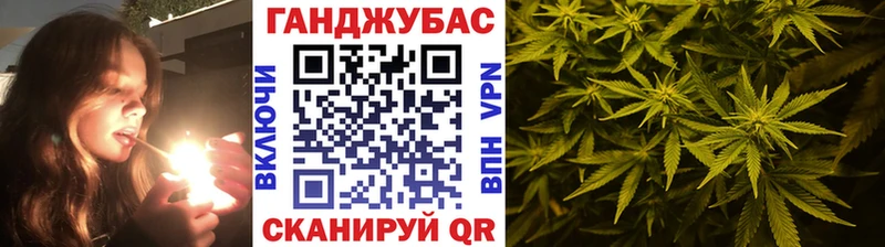 Купить где  Ардатов  Каннабис планчик 